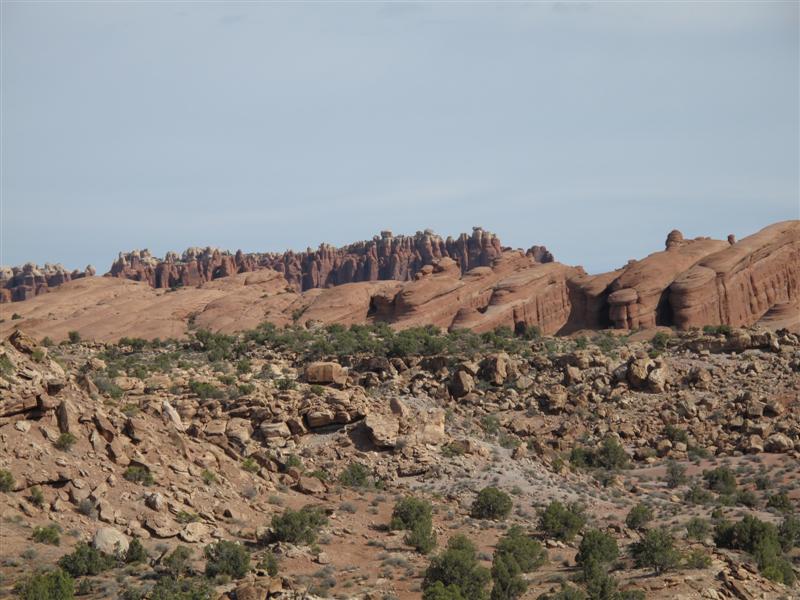 IMG_2515 (Medium).JPG IMG_2515 (Medium).JPG